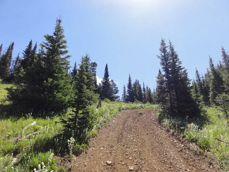 Dirt Road in the Bridgers