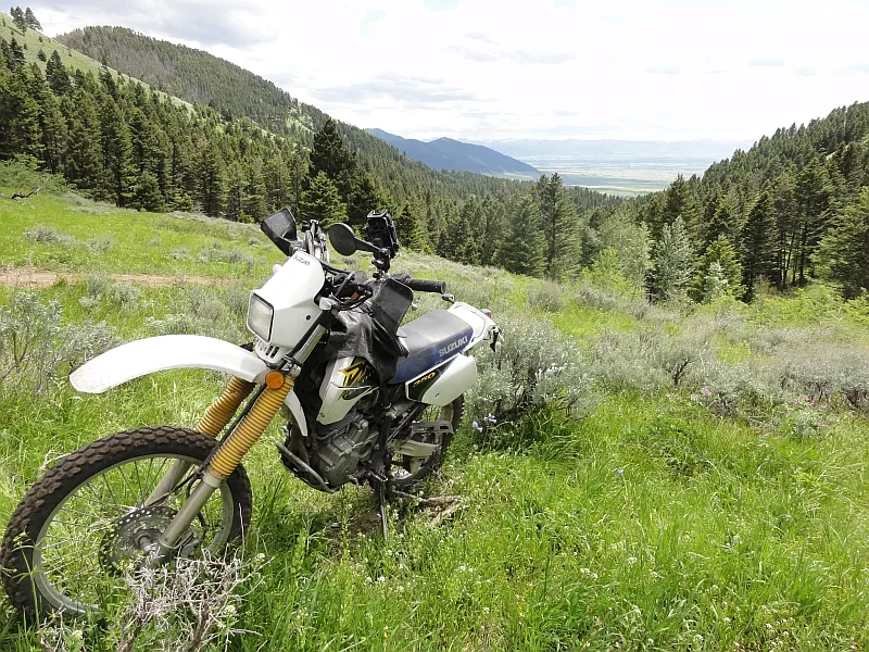 Bridger Mountain Riding in Montana