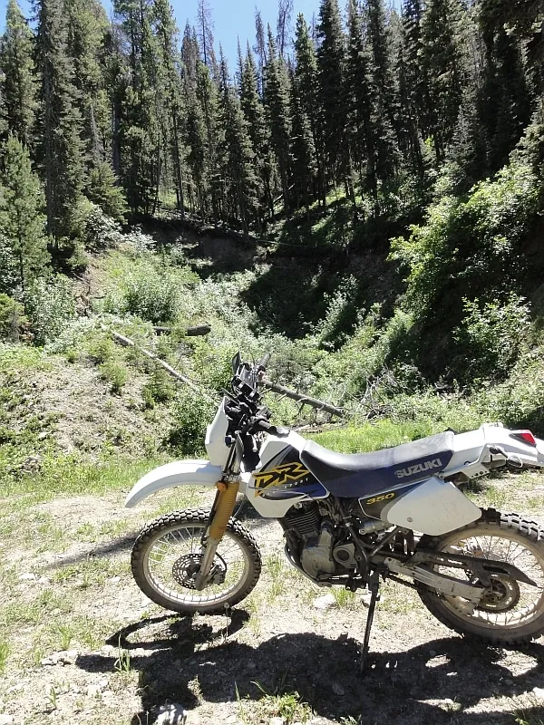 1999 Suzuki DR350
