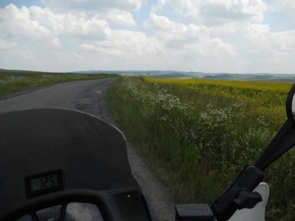 Czech fields