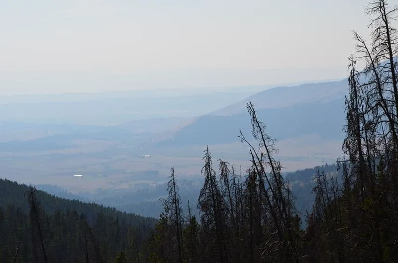 Haze in the air