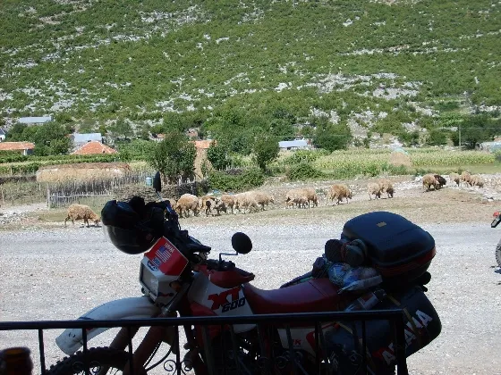Albania 2008 ride report