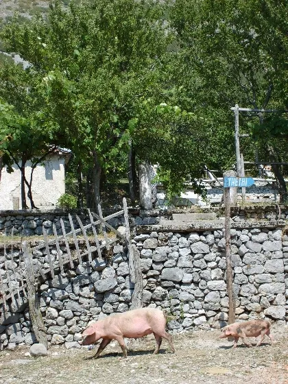 Albania 2008 ride report