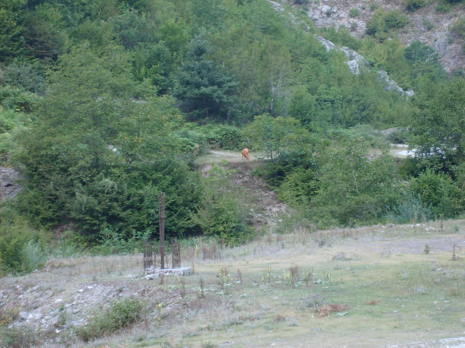 Albania 2008 ride report