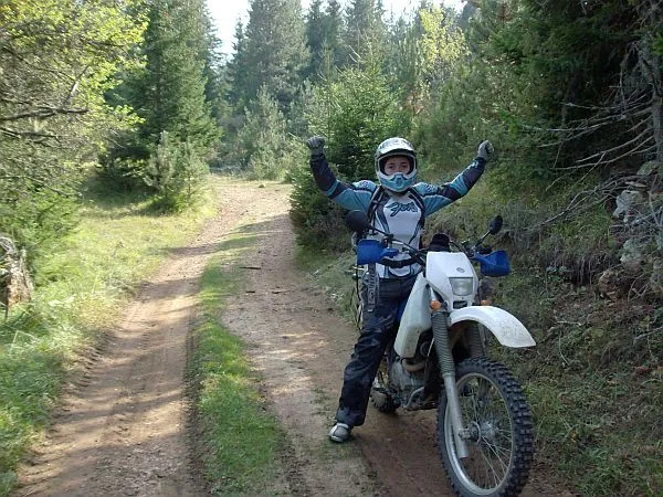 Suzuki DR350